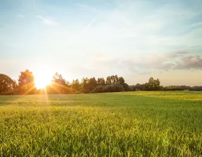 Hållbar utveckling - våra resultat.